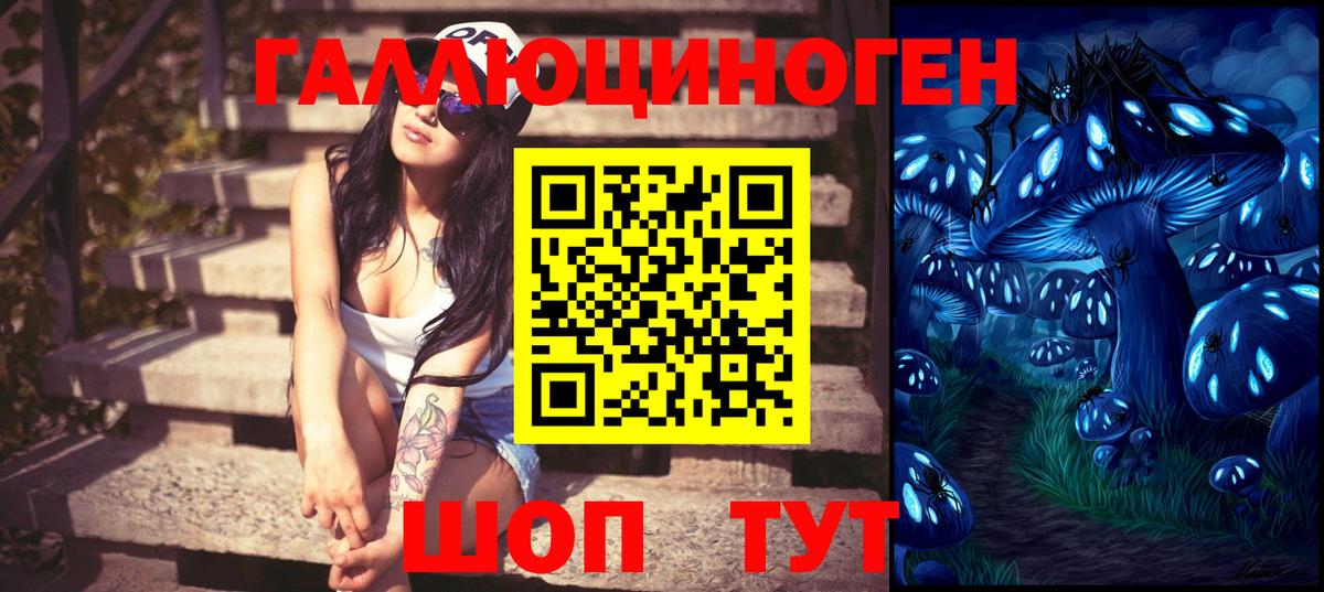 Апатиты  Галлюциногенные грибы Psilocybe  Вход с VPN 